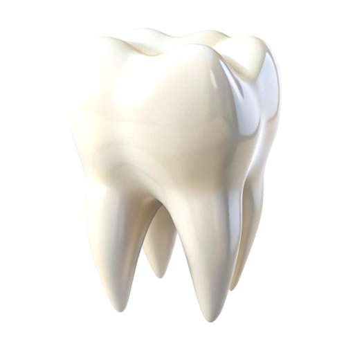 داندانپزشکی