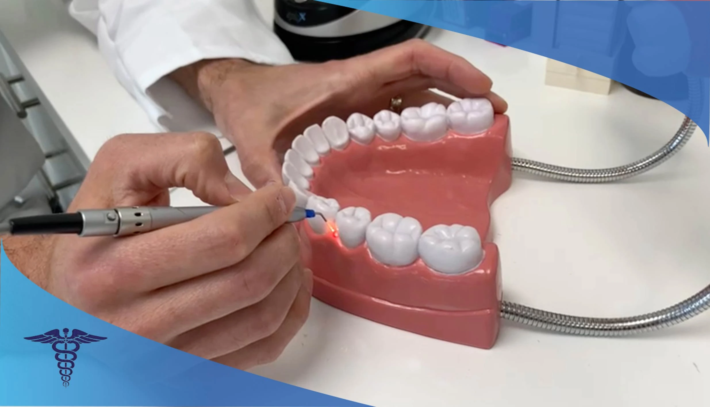 40 تا از بهترین متخصص لمینت دندان در شیراز