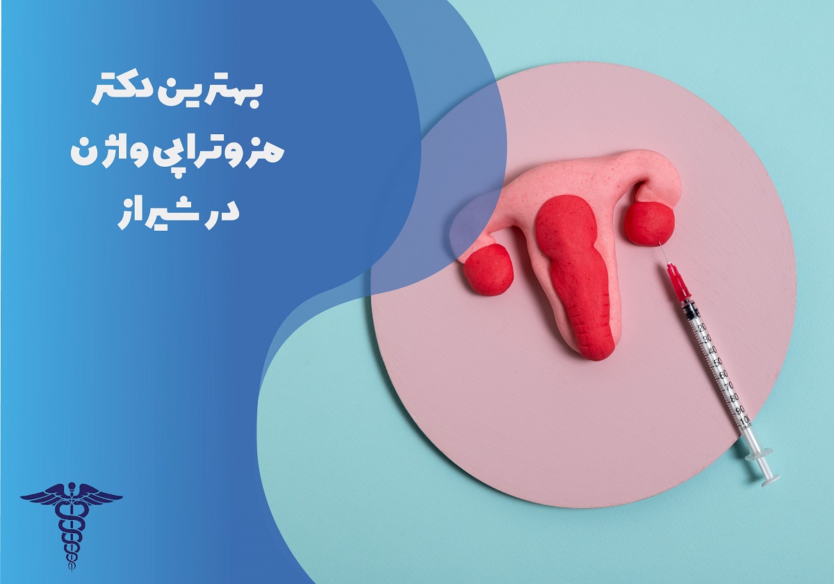 بهترین دکتر مزوتراپی واژن در شیراز به همراه مشخصات