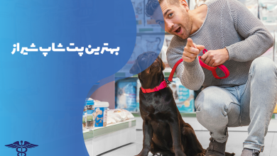 معرفی بهترین پت شاپ شیراز