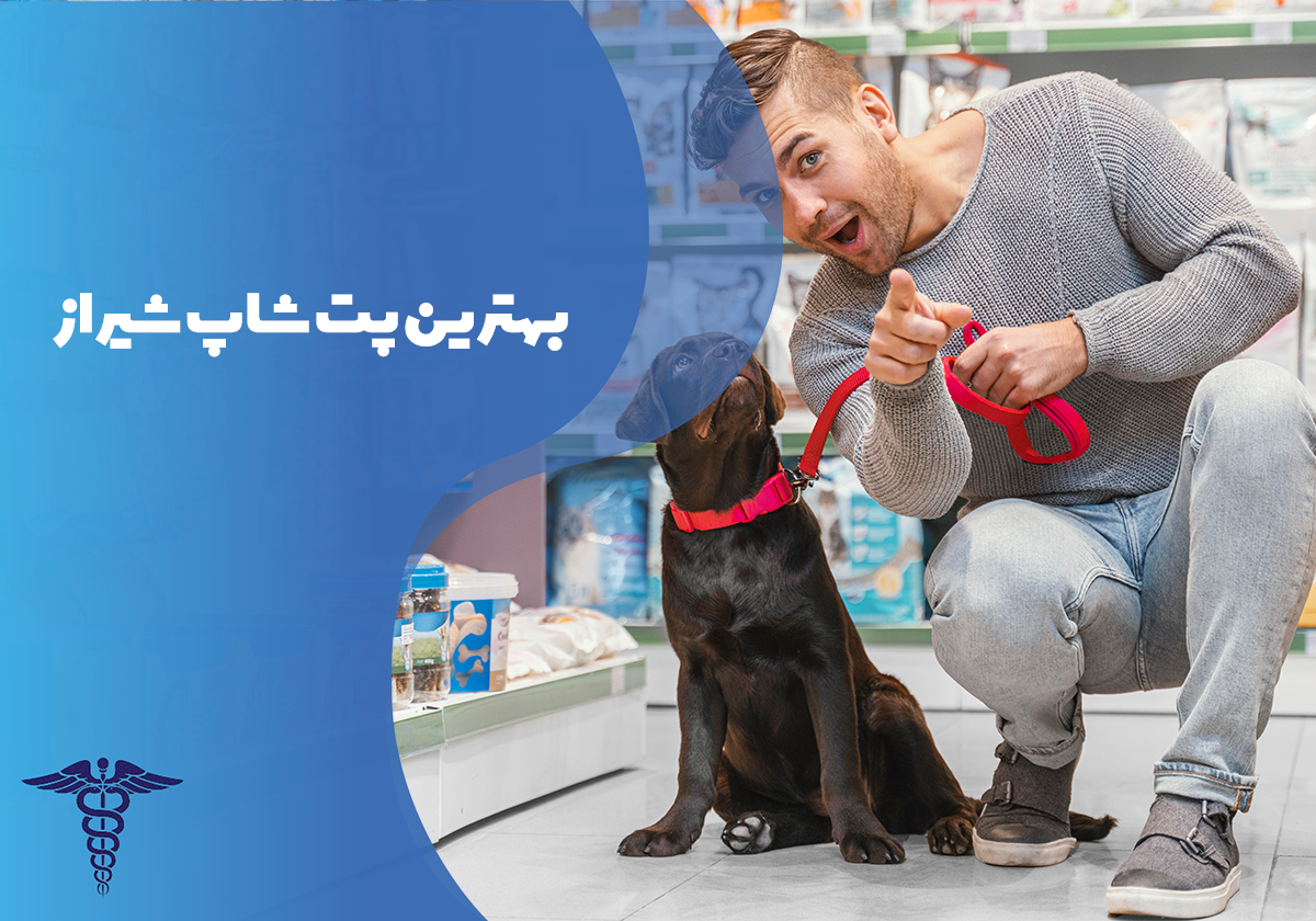معرفی بهترین پت شاپ شیراز