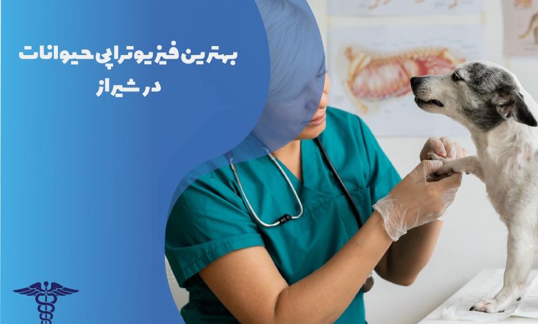 لیست بهترین فیزیوتراپی حیوانات در شیراز با آدرس و تلفن