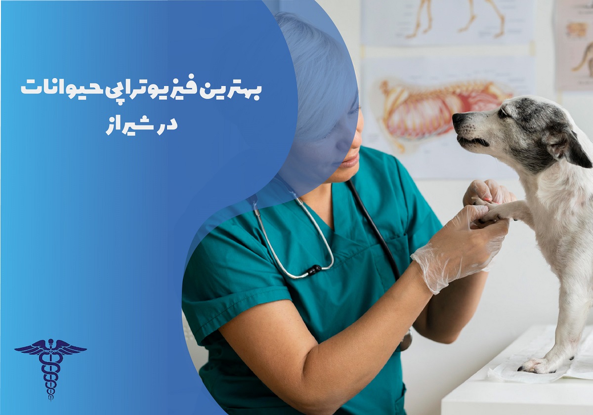 لیست بهترین فیزیوتراپی حیوانات در شیراز با آدرس و تلفن
