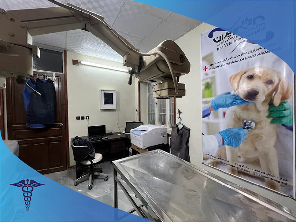 کلینیک دامپزشکی ایران شبانه روزی شیراز