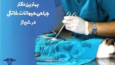 بهترین دکتر جراحی حیوانات خانگی در شیراز