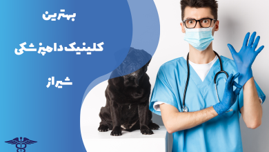 معرفی بهترین کلینیک دامپزشکی شیراز