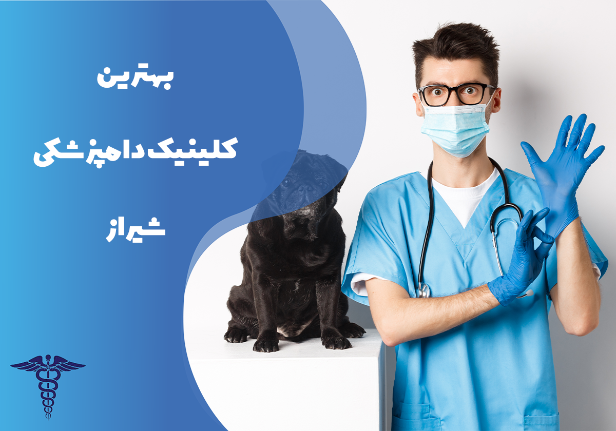 معرفی بهترین کلینیک دامپزشکی شیراز