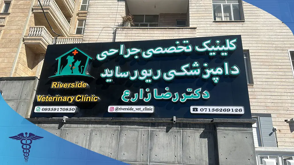 کلینیک تخصصی جراحی دامپزشکی ریورساید شیراز