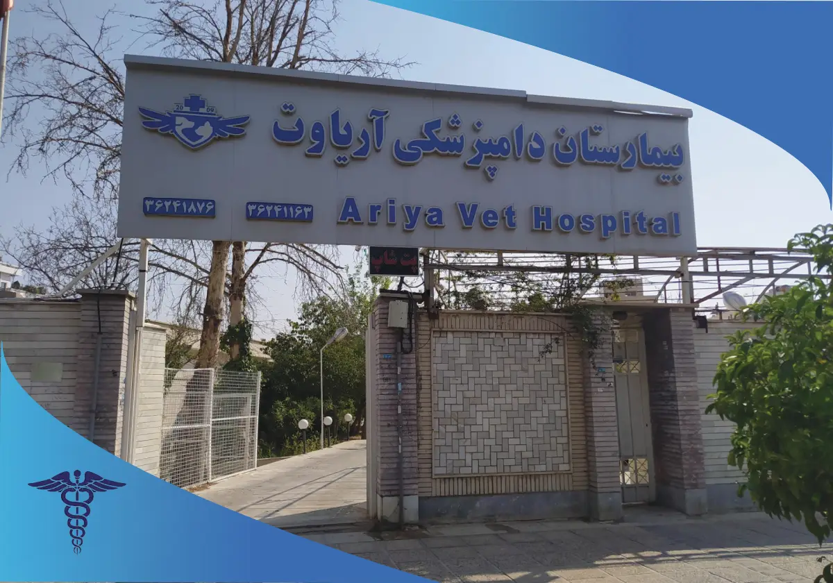 کلینیک دامپزشکی آریاوت