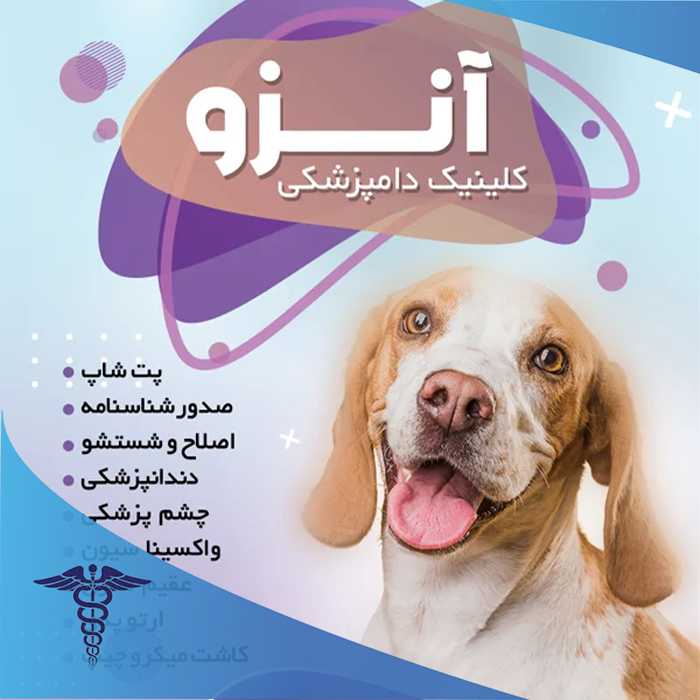 کلینیک دامپزشکی آنزو شیراز