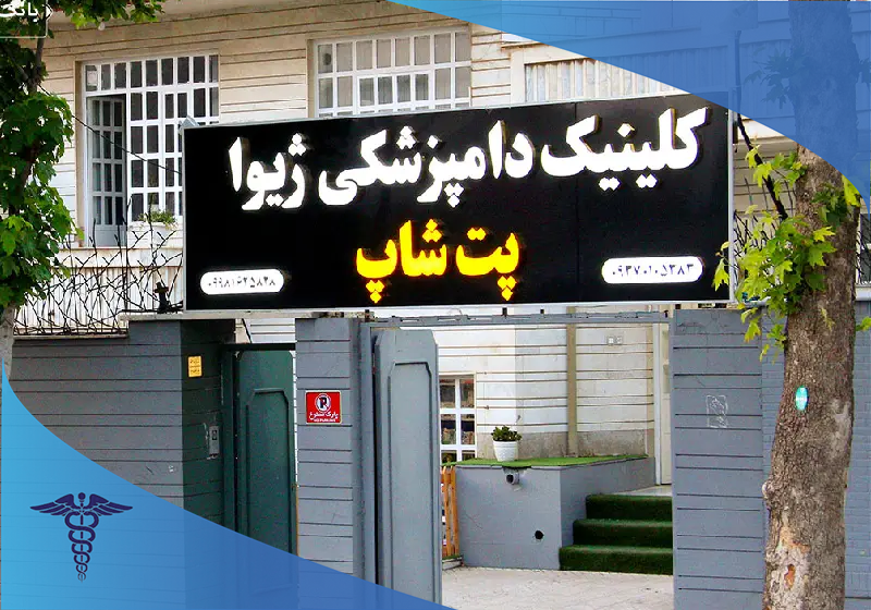 کلینیک دامپزشکی ژیوا، مرکز جراحی حیوانات خانگی در شهر شیراز