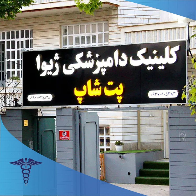 کلینیک دامپزشکی ژیوا - بهترین کلینیک دامپزشکی شیراز