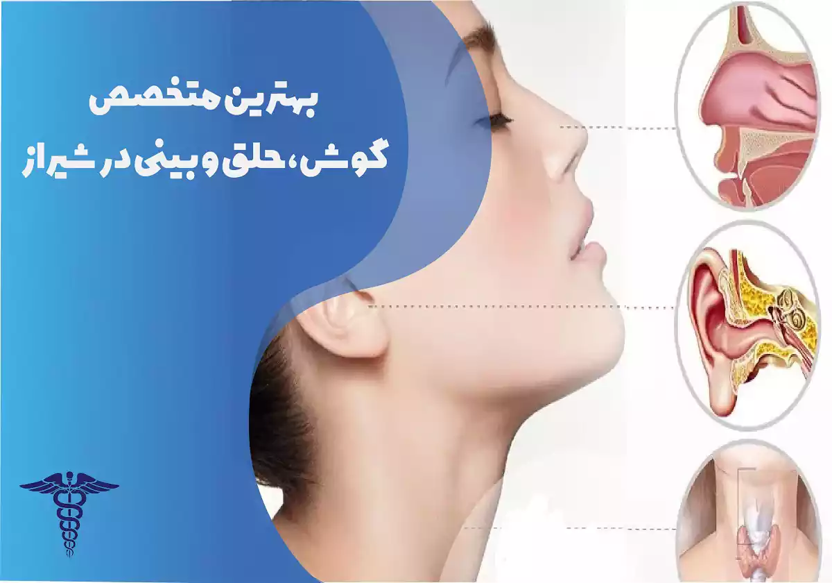 بهترین متخصص گوش و حلق و بینی در شیراز