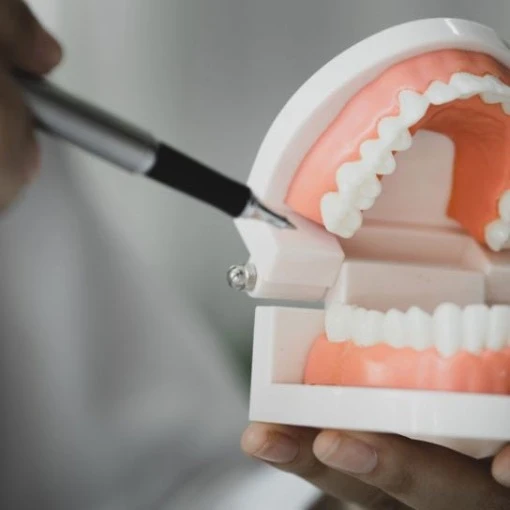  دکتر حبیب  سعدین 